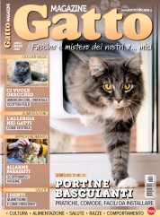 Gatto Magazine (15 Nov 2022)