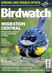 Birdwatch (25 Apr 2024)
