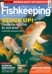 Practical Fishkeeping (18 Apr 2024)