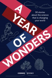 A Year of Wonders (1 Mrz 2023)