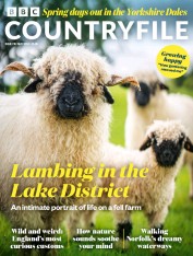 BBC Countryfile Magazine (17 Nov 2022)