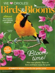 Birds & Blooms (20 Mar 2024)