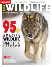 Canadian Geographic Best Wildlife Photography (25 Nov 2023)