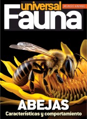 Fauna universal  (25 Apr 2024)