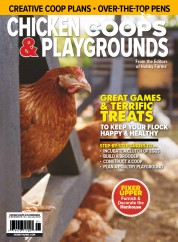Chicken Coops and Playgrounds (26 Jan 2021)