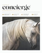 Concierge Magazine (1 Mrz 2021)