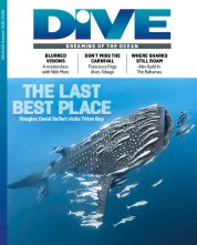 Dive (1 Aug 2020)